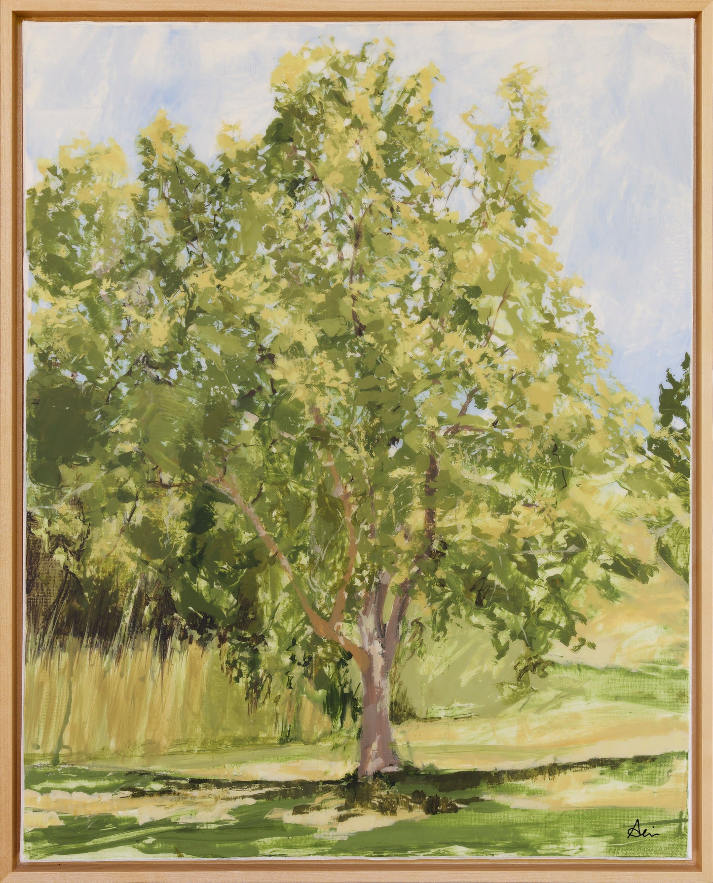 Sycamore Plein Air July 2024